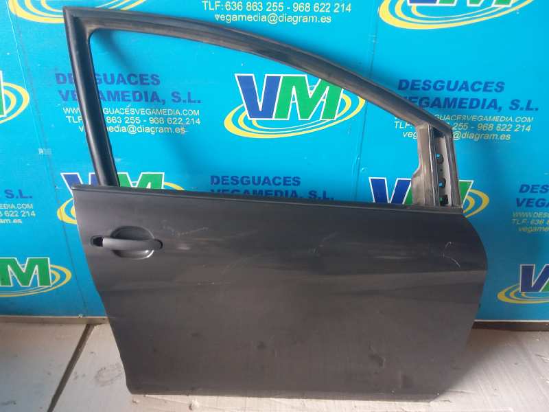 Puerta delantera derecha