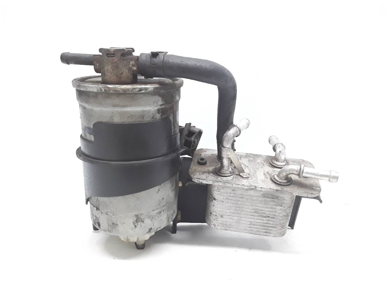 Enfriador aceite motor