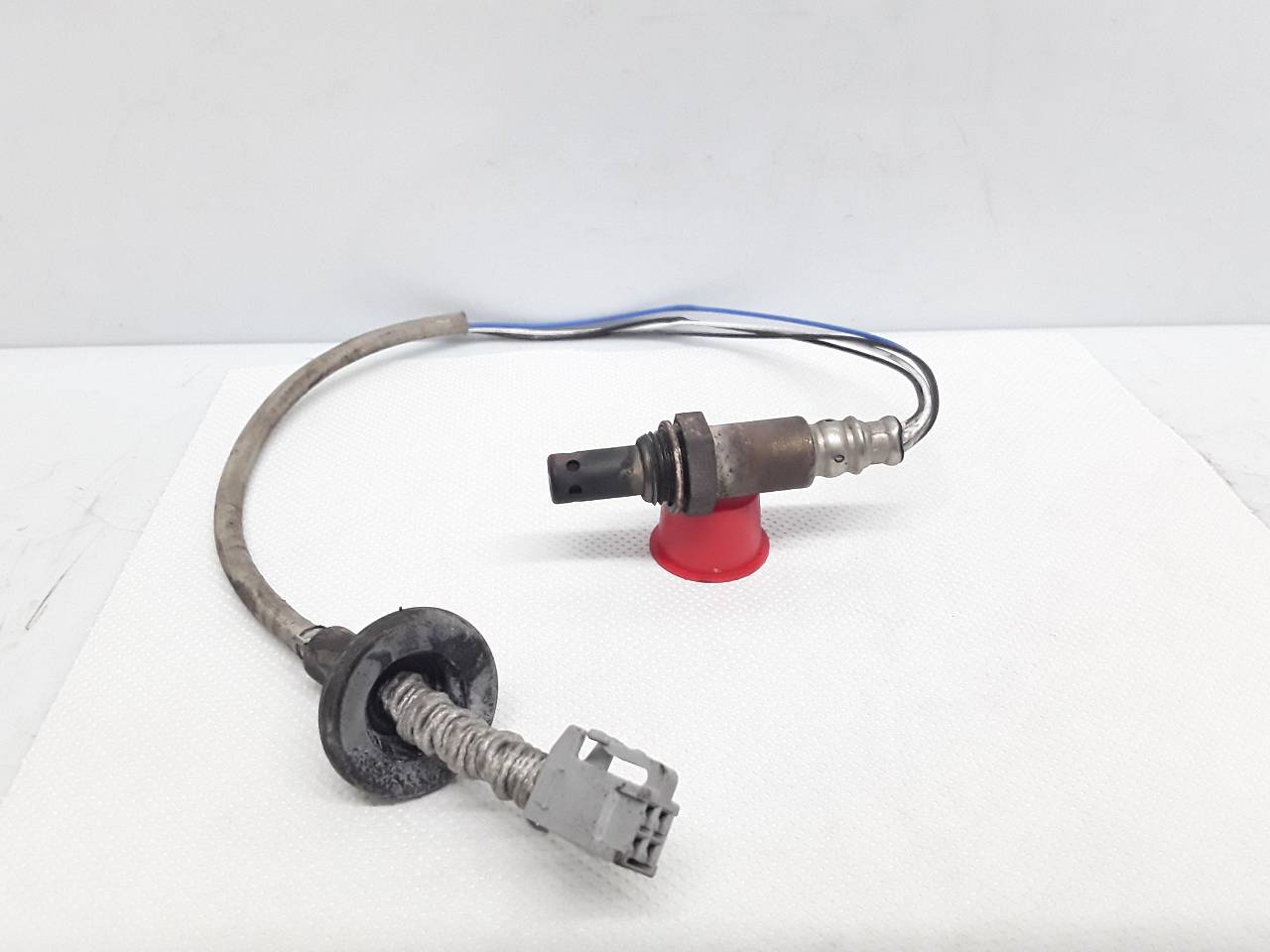 Sonda lambda
