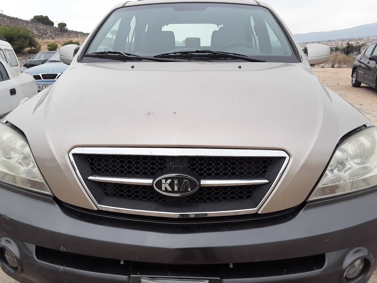 Bonnet