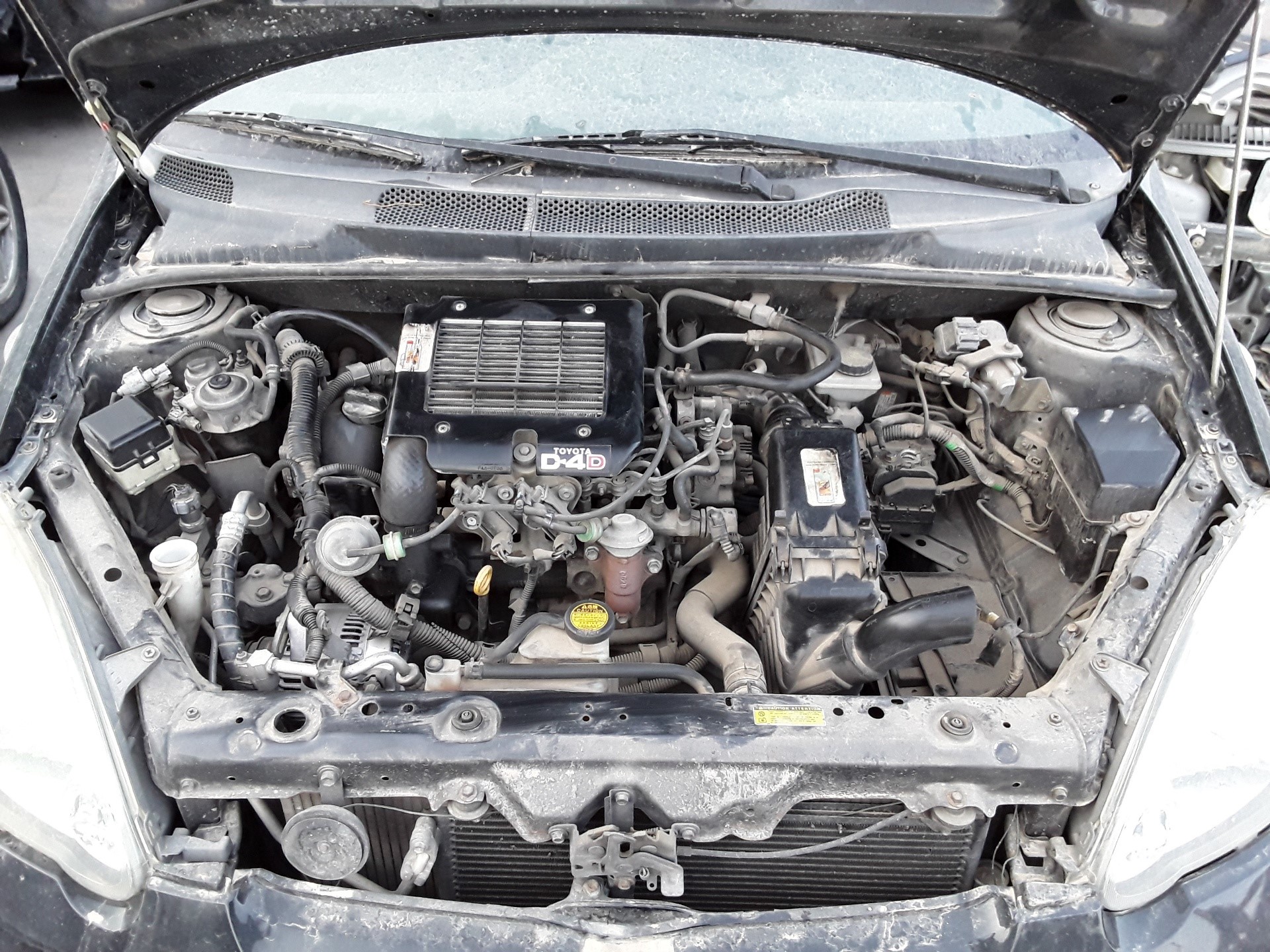 Motor completo