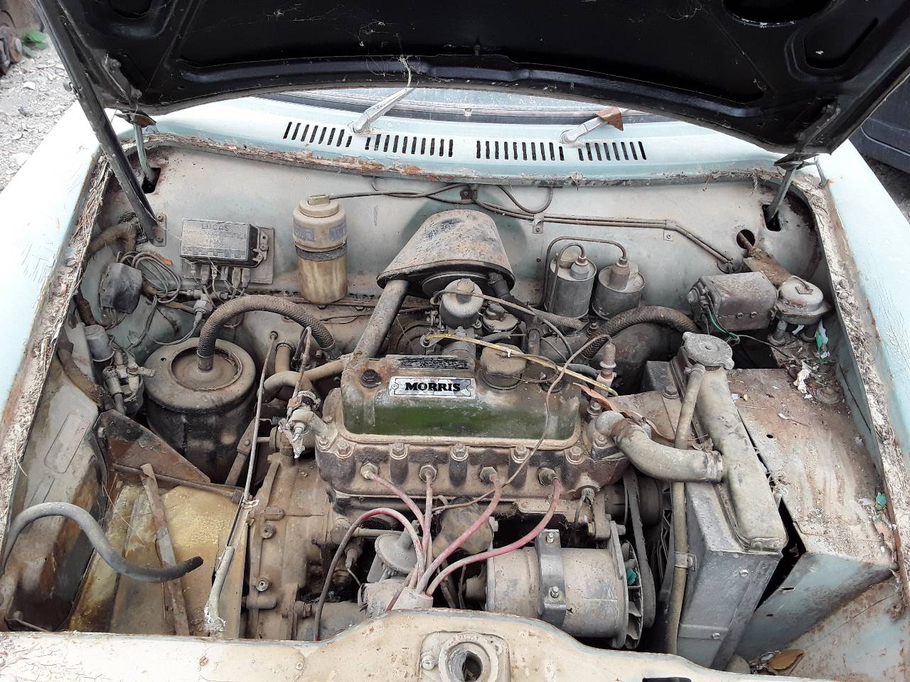 Motor completo, foto 1 de 1