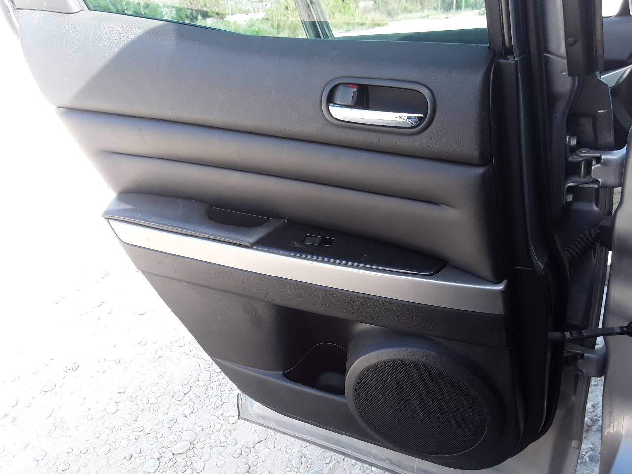 Rear left door trim, photo 1 of 1