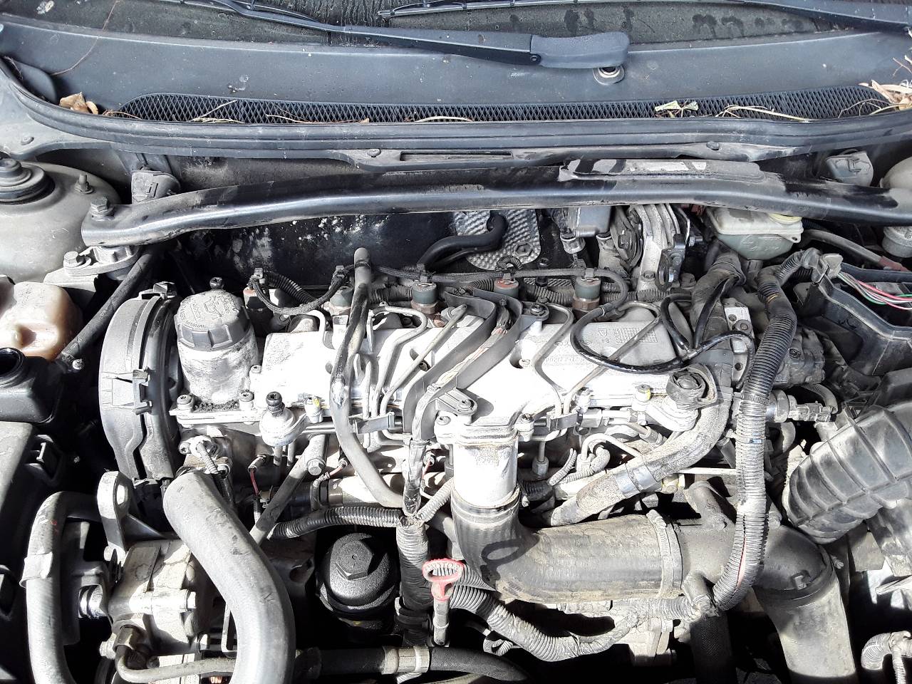Motor completo
