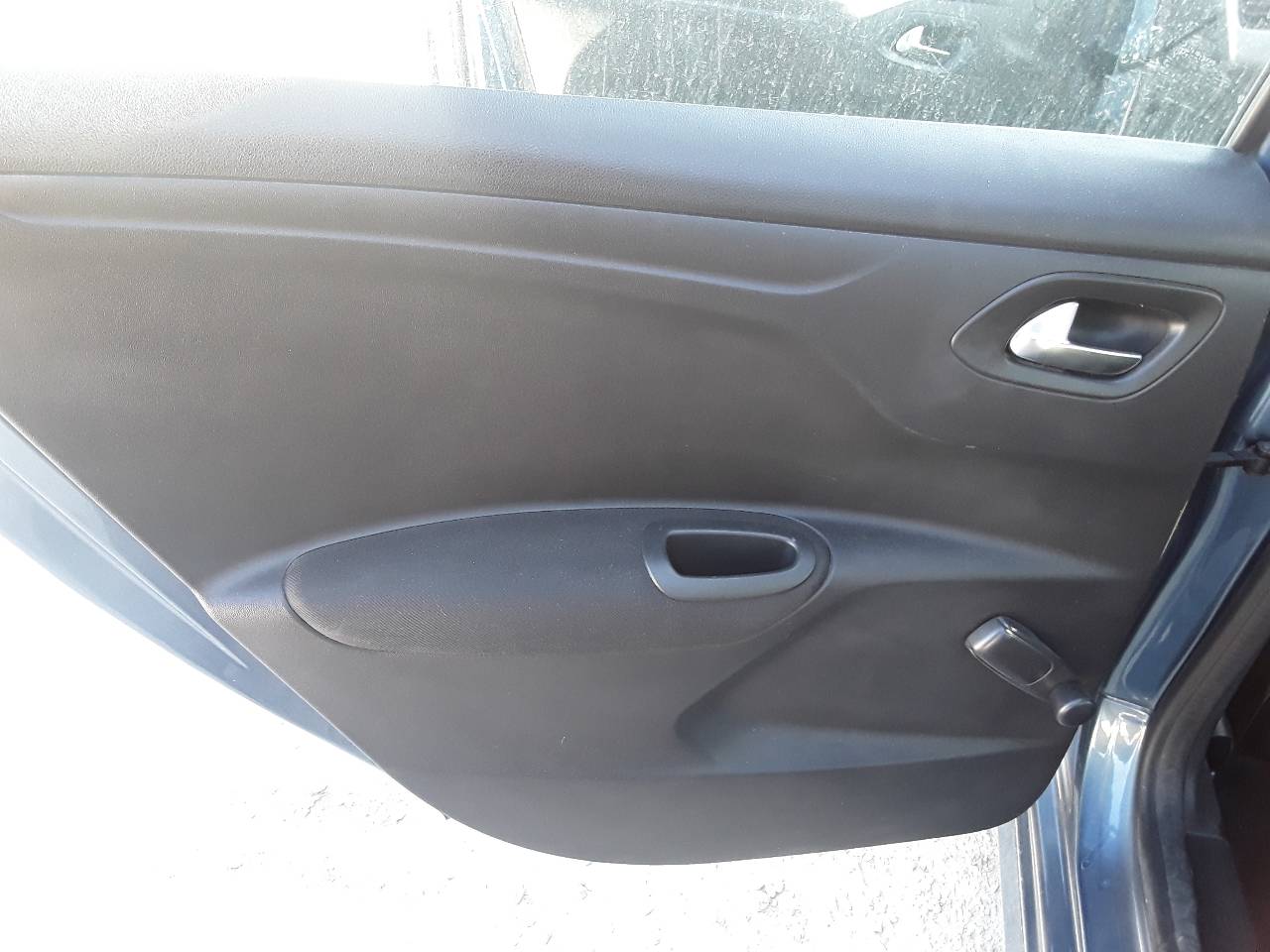 Guarnição da porta traseira esquerda, foto 1 de 1