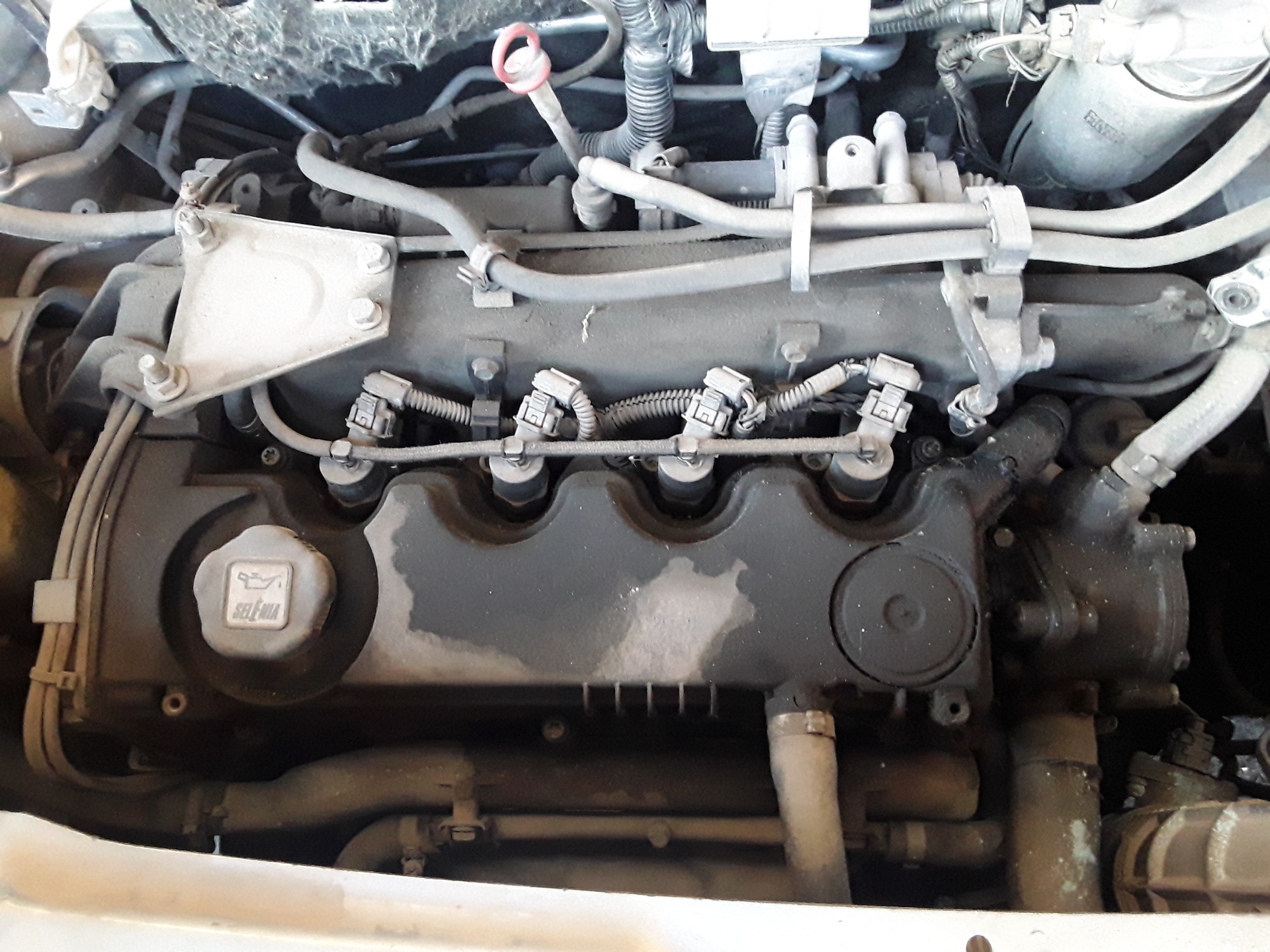 Motor completo