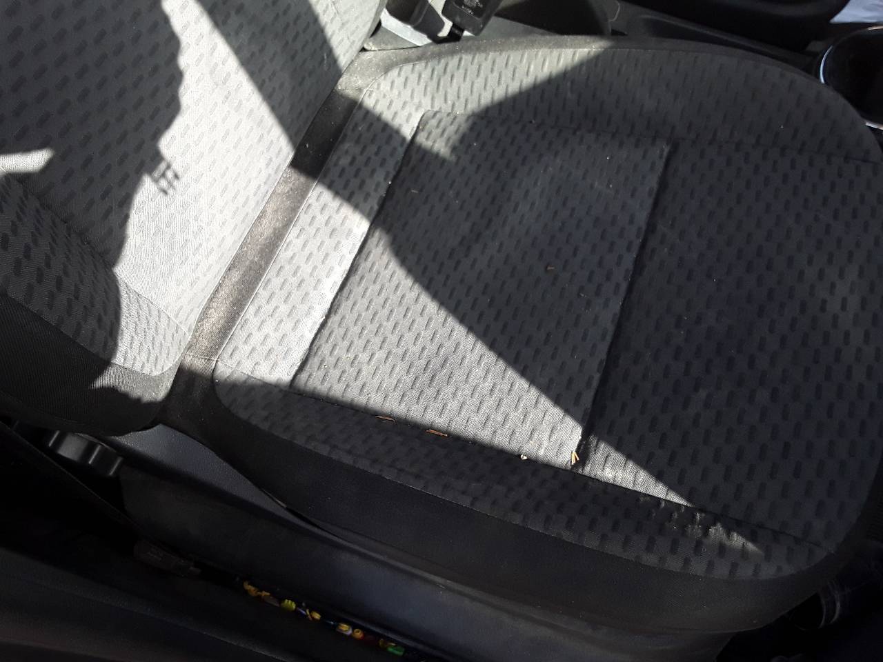 Asiento delantero derecho, foto 1 de 2