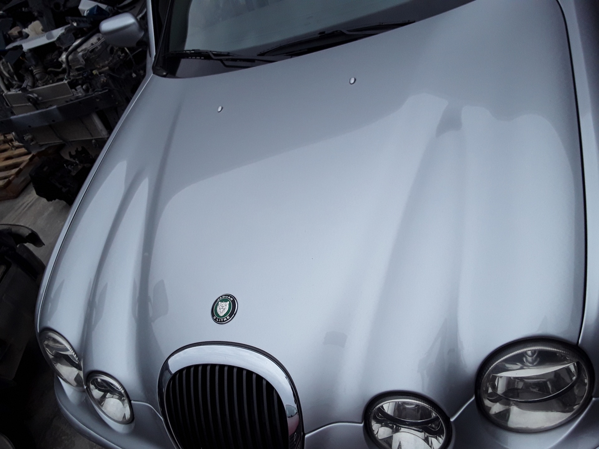 Capo