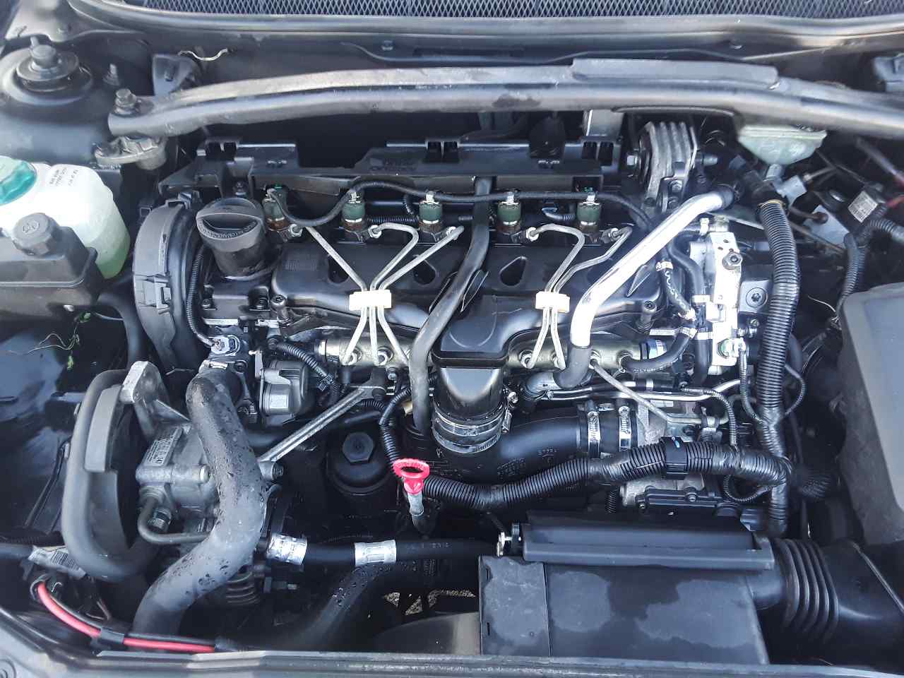 Motor completo