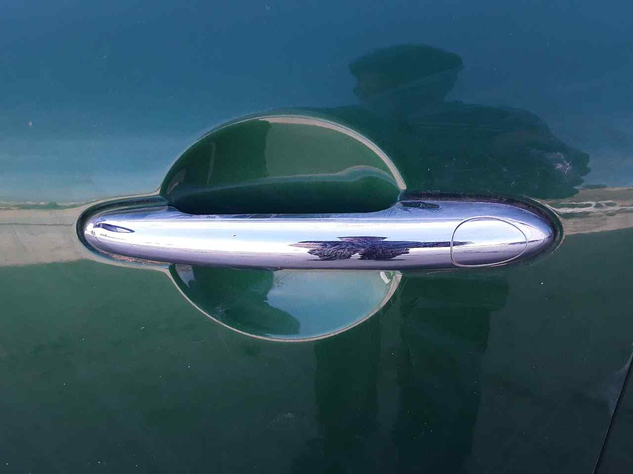 Front left outer door handle, photo 1 of 1