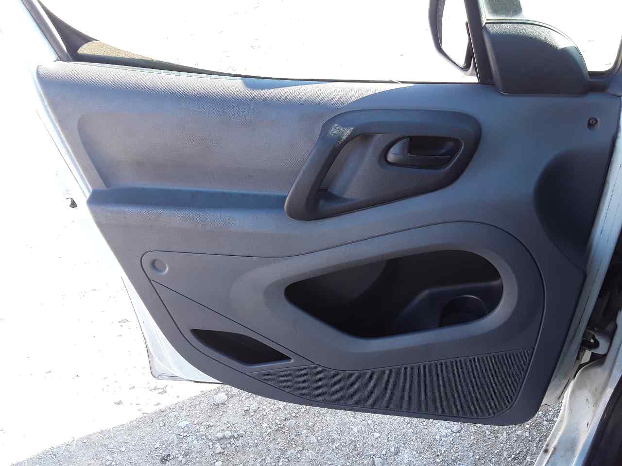 Guarnecido puerta delantera izquierda