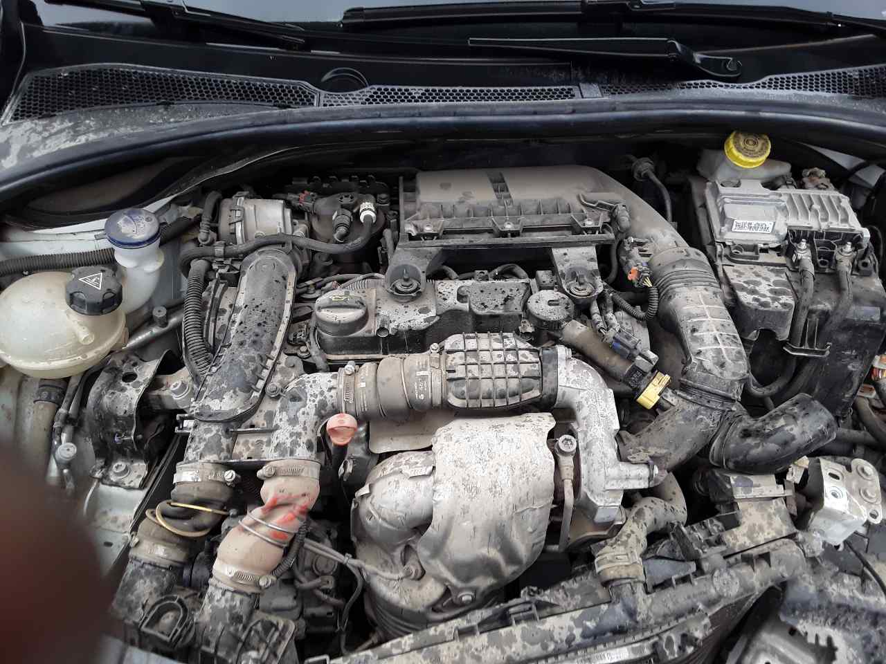 Motor completo