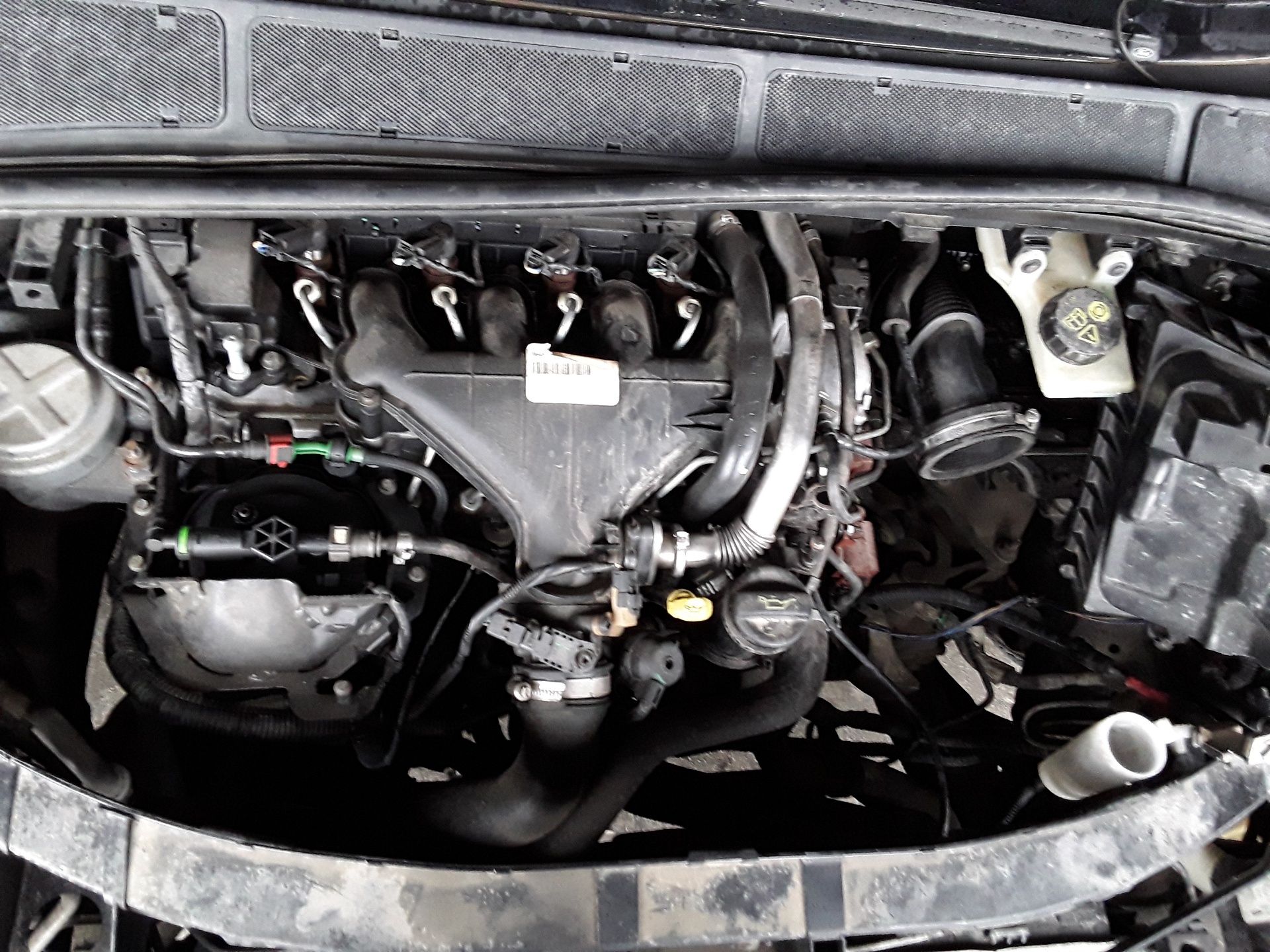 Motor completo