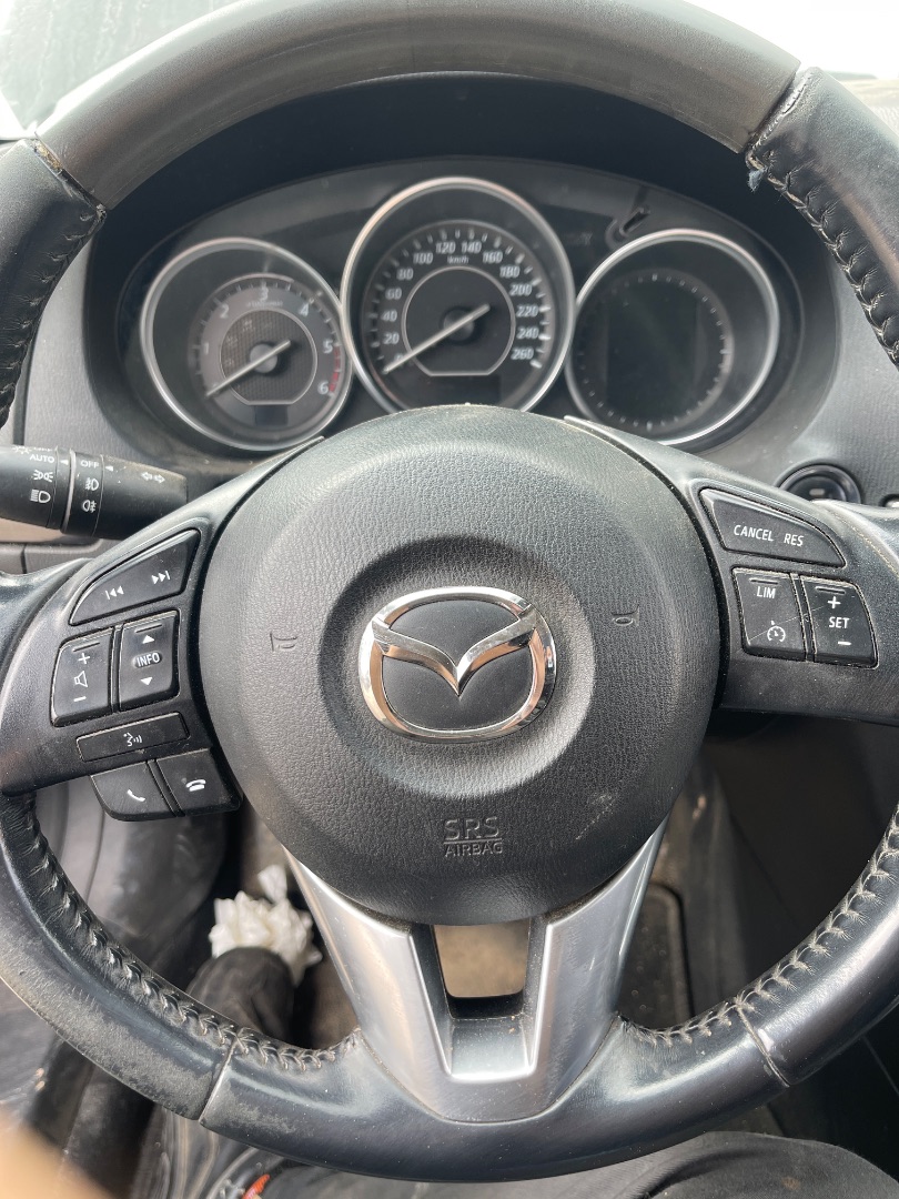 Airbag delantero izquierdo, foto 1 de 1
